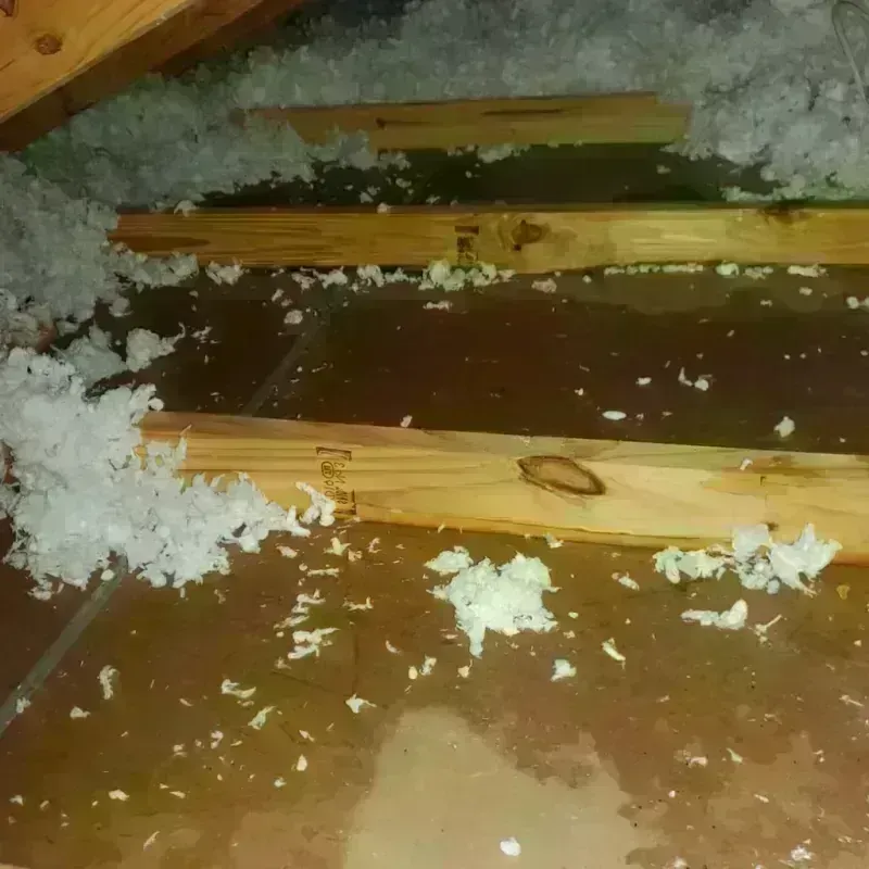 Attic Water Damage in Silver City, NM